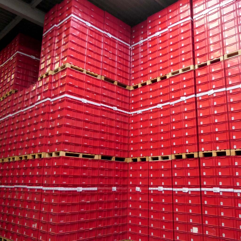 Palletaanbieding 40 gebruikte kunststof stapelbak, transportkrat 600x400x232mm (lxbxh) rood